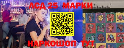 дмт Гатчина