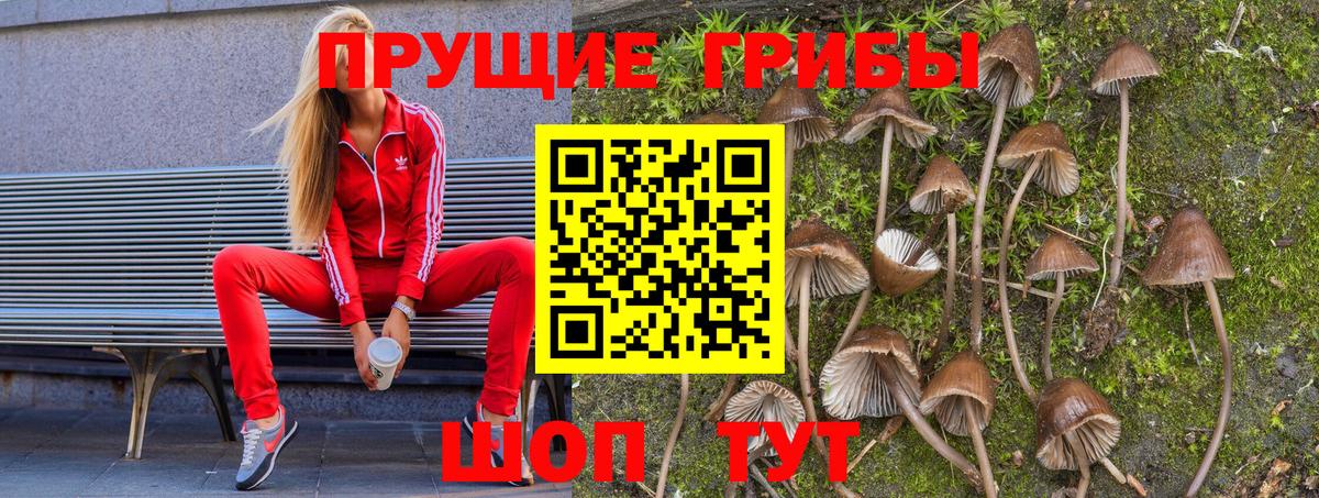 Галлюциногенные грибы Magic Shrooms Борисоглебск
