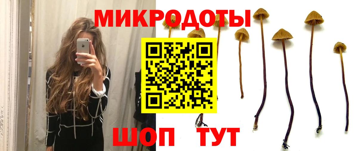 Псилоцибиновые грибы Psilocybine cubensis  Вход с VPN  Псилоцибиновые грибы Psilocybe  Борисоглебск 